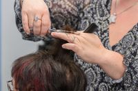 Haare schneiden beim Damenfriseur in Altrip